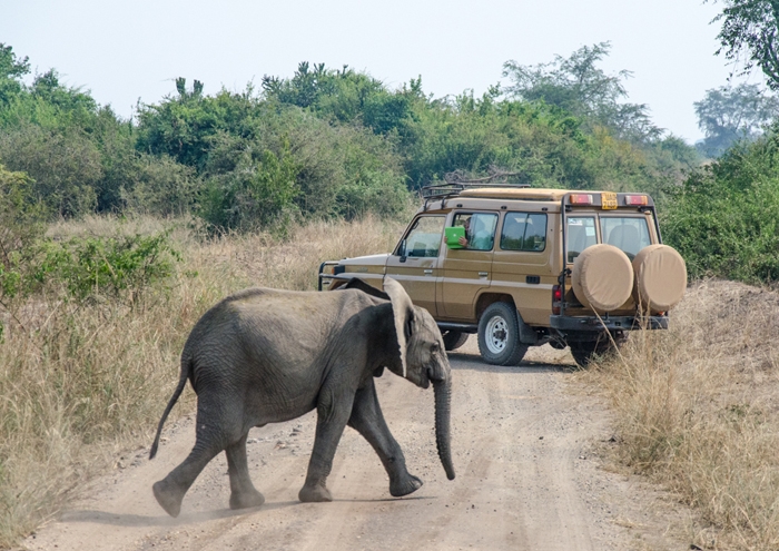Queen Elizabeth National Park Queen Elizabeth National Park